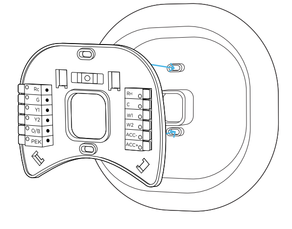 15+ Ecobee 4 Wiring Diagram