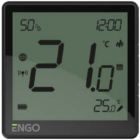 Engocontrols- EONE230W -Programmable- Room- Thermostat  - PRO